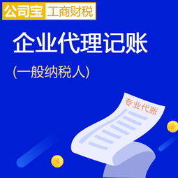 專業(yè)代理記賬服務 公司寶助您輕松應對工商財稅事務